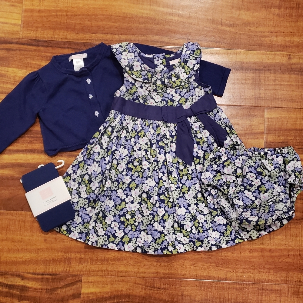 Janie and Jack NWT/EUC 12-18 months violet/green floral dress, cardigan, tights